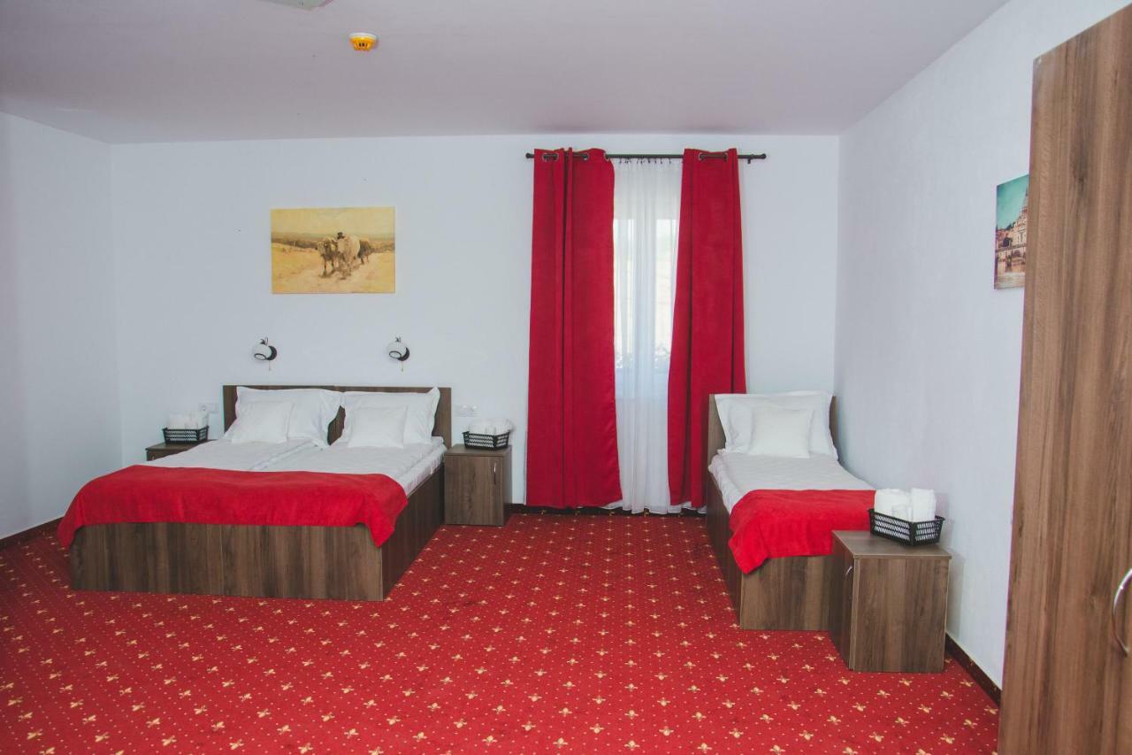 Pensiunea Iliada Sibiu Bagian luar foto