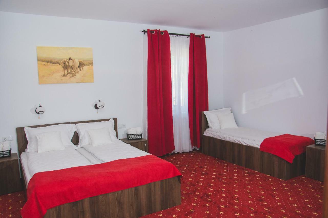 Pensiunea Iliada Sibiu Bagian luar foto