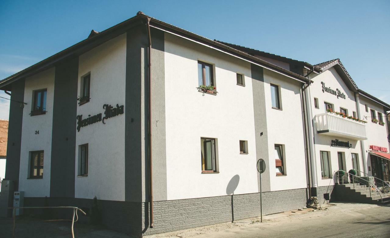 Pensiunea Iliada Sibiu Bagian luar foto