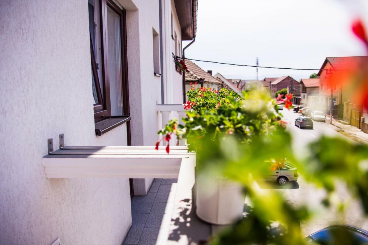 Pensiunea Iliada Sibiu Bagian luar foto